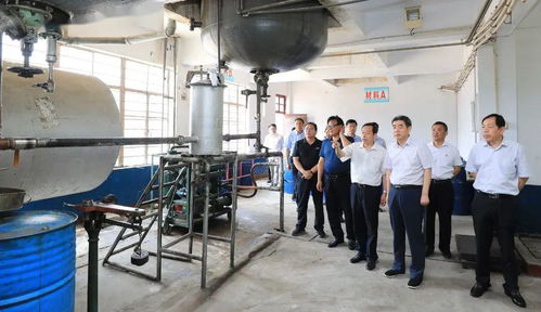 集團領導深入實業公司調研，聚焦轉型發展重點